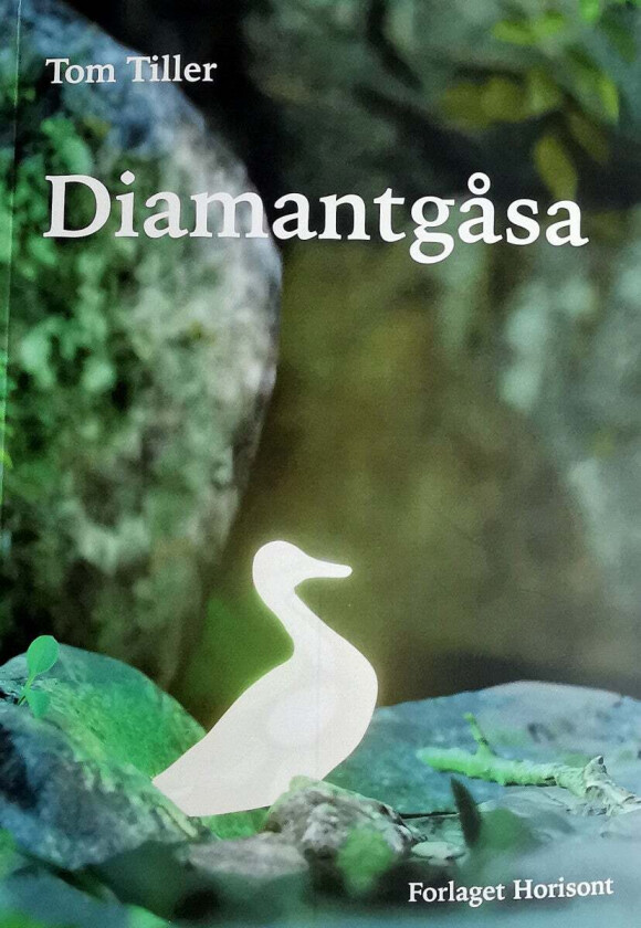 Diamantgåsa av Tom Tiller