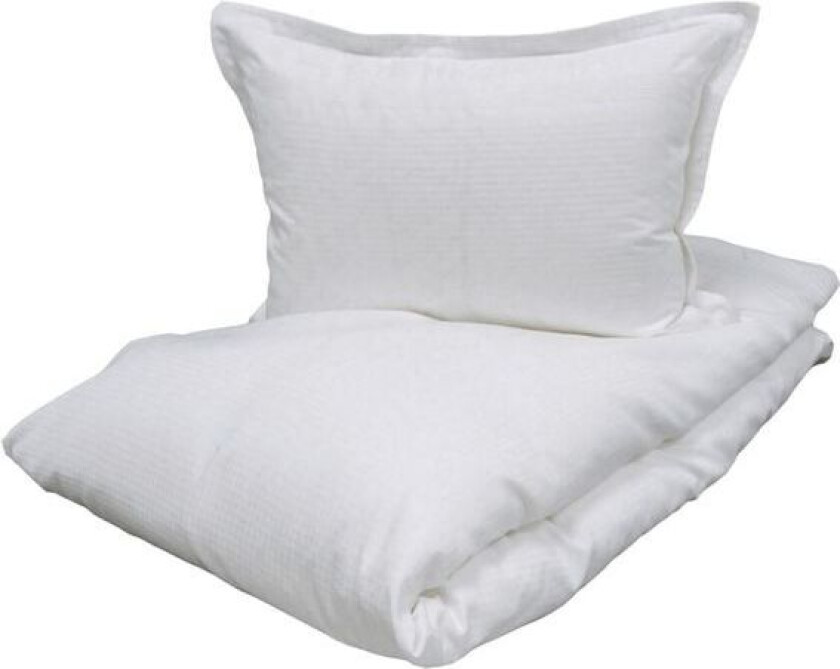 Exo Sengesett Halvor Bakke