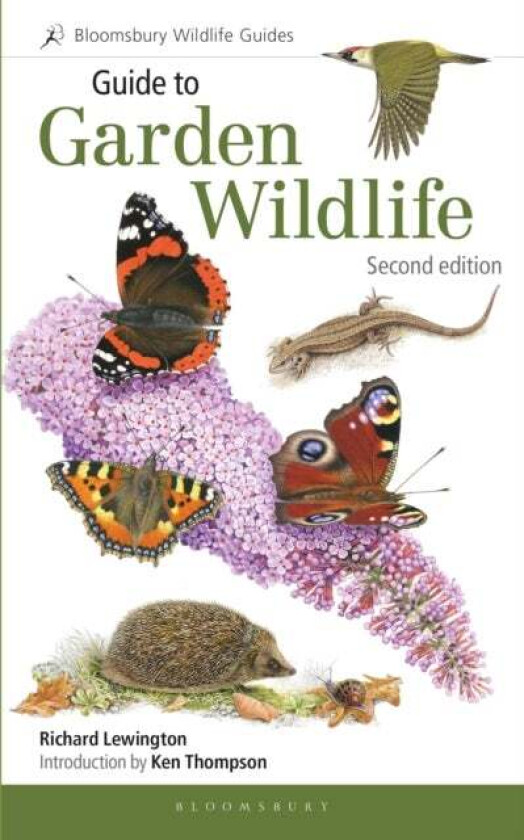 Guide to Garden Wildlife (2nd edition) av Richard Lewington