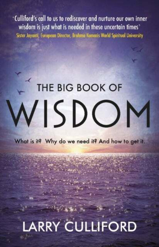 The Big Book of Wisdom av Larry Culliford