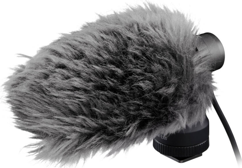 DM-E100 Stereo Microphone
