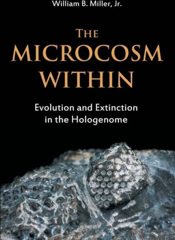 The Microcosm Within: Evolution And Extinction In Av William B. Miller Jr