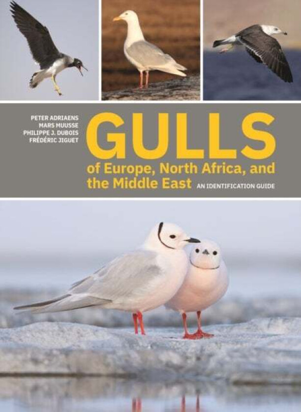 Gulls of Europe, North Africa, and the Middle East av Peter Adriaens, Mars Muusse, Philippe J. Dubois, Frederic Jiguet