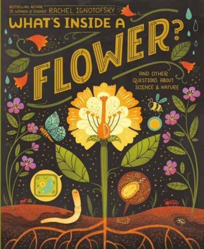 What's Inside A Flower? av Rachel Ignotofsky