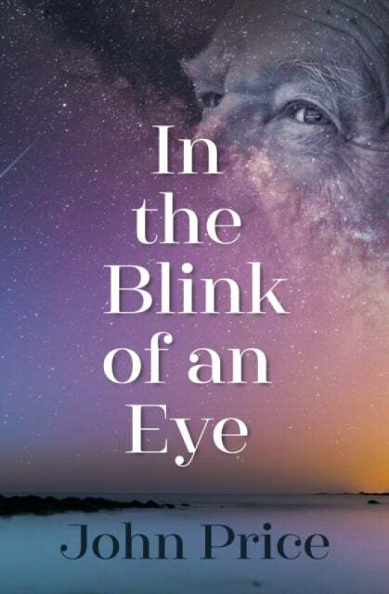 In the Blink of an Eye av John Price