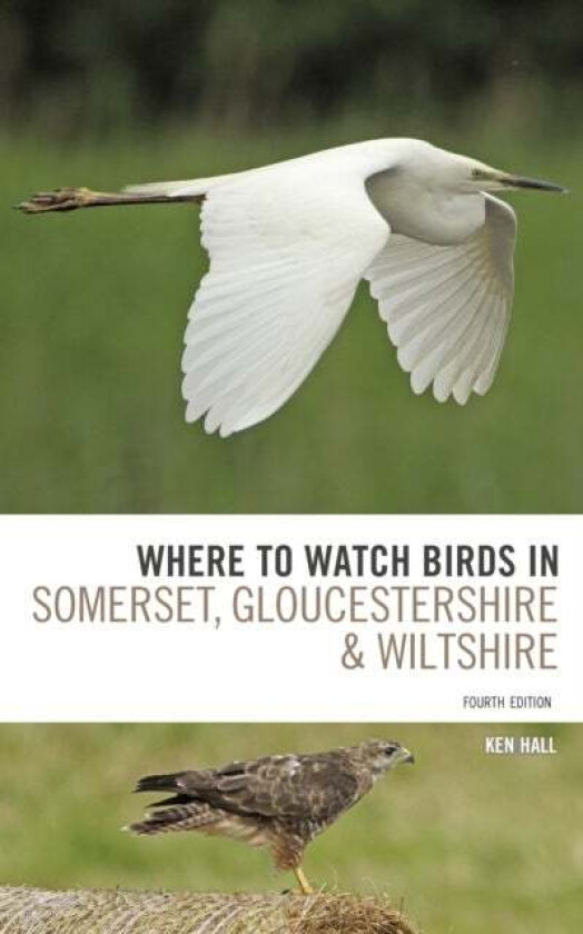 Where To Watch Birds in Somerset, Gloucestershire and Wiltshire av Ken Hall