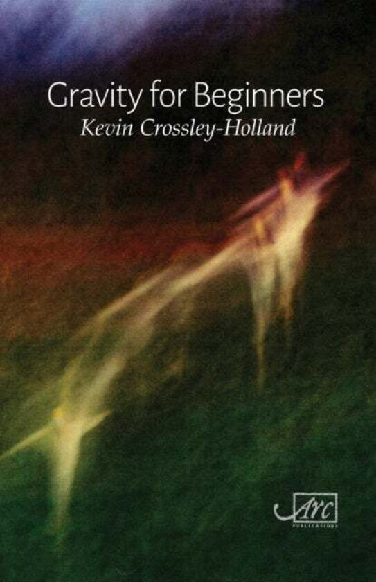Gravity for Beginners av Kevin Crossley-Holland