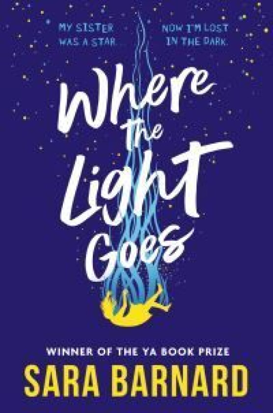 Where the Light Goes av Sara Barnard