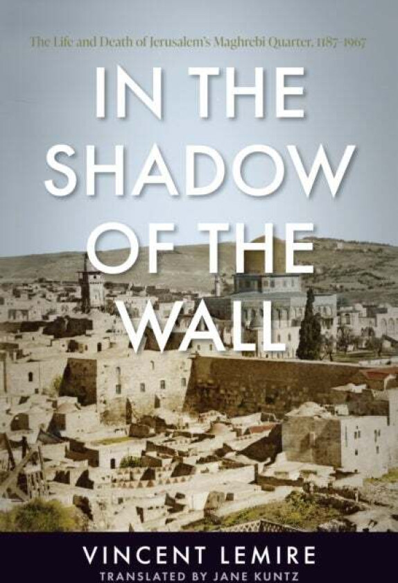 In the Shadow of the Wall av Vincent Lemire