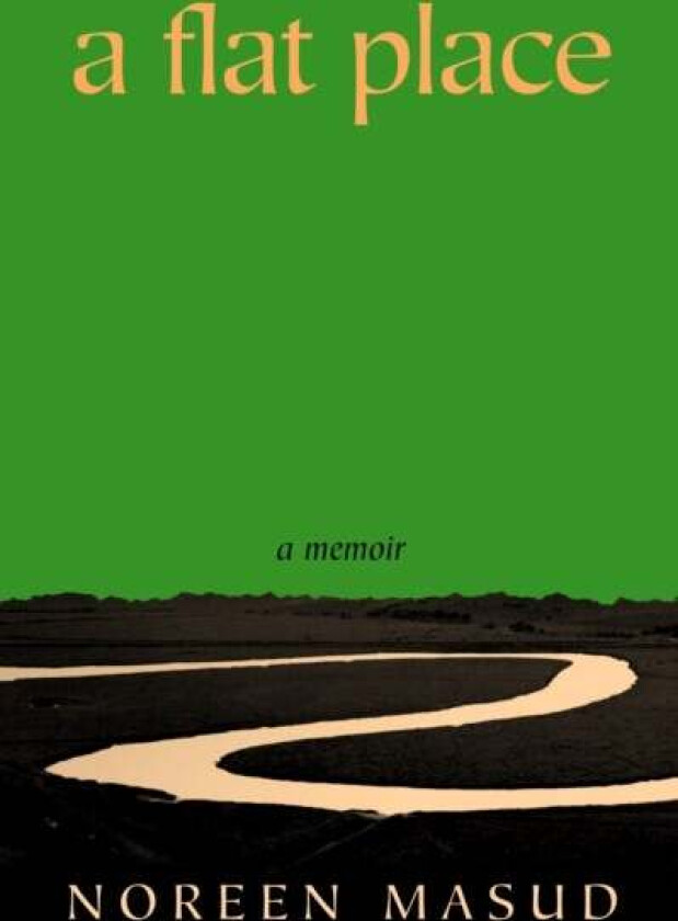 A Flat Place av Noreen Masud