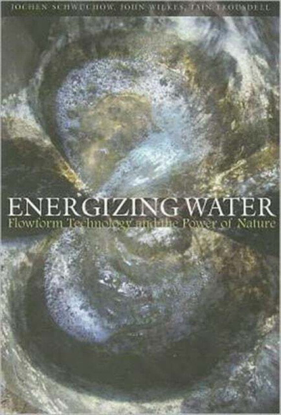 Energizing Water av Jochen Schwuchow, John Wilkes, Iain Trousdell