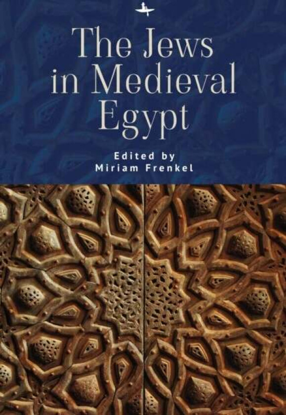 The Jews in Medieval Egypt