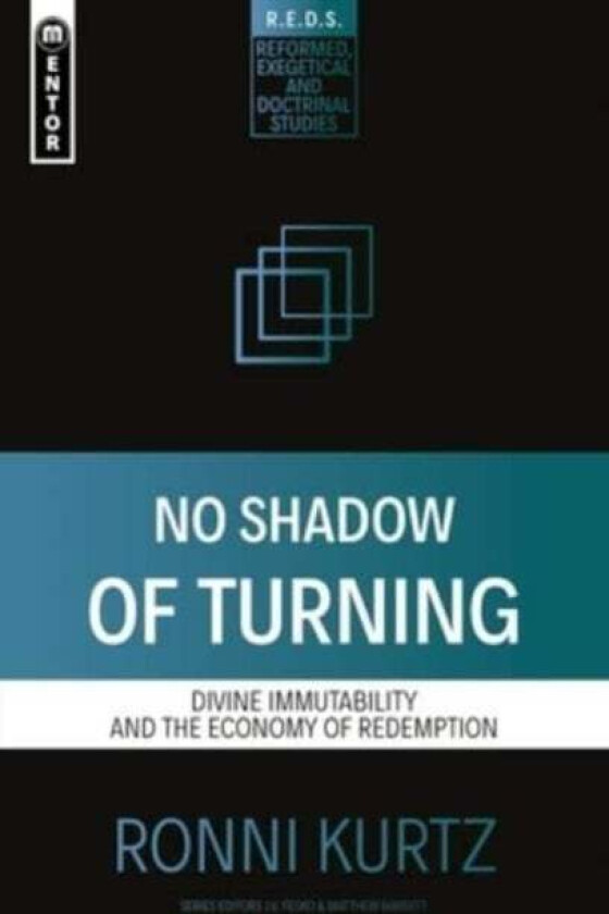 No Shadow of Turning av Ronni Kurtz