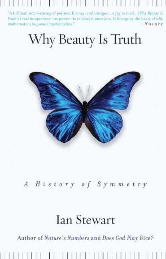 Why Beauty Is Truth av Ian Stewart
