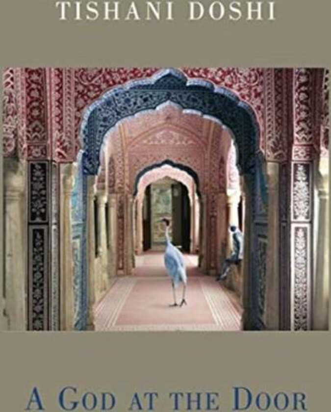 A God at the Door av Tishani Doshi