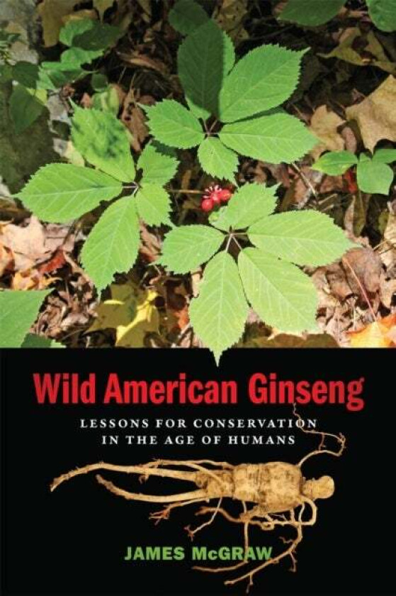 Wild American Ginseng av James McGraw