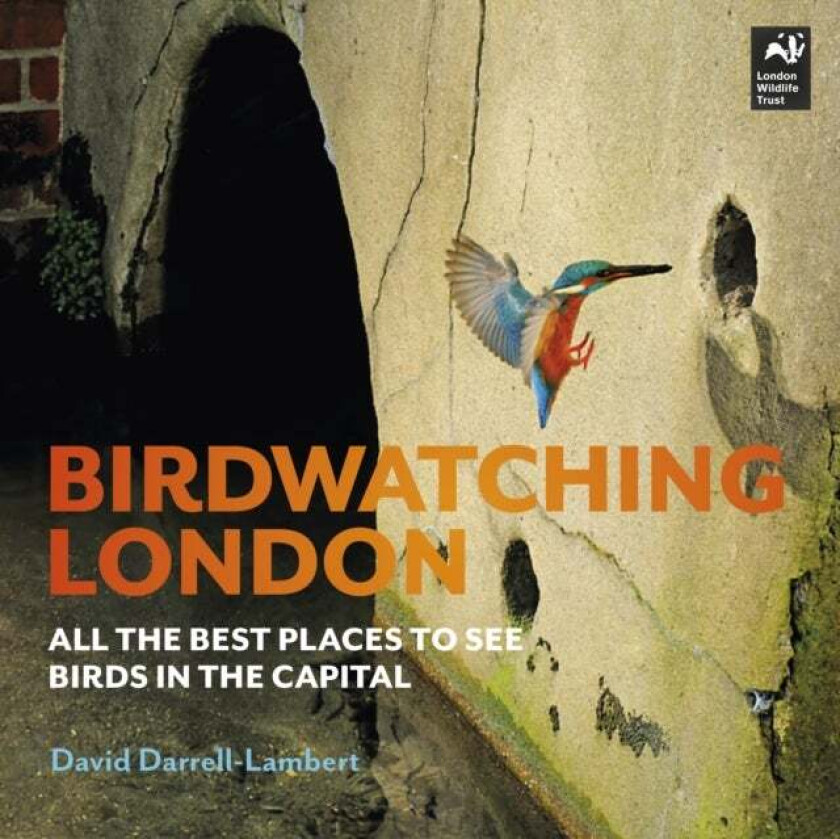 Birdwatching London av David Darrell-Lambert