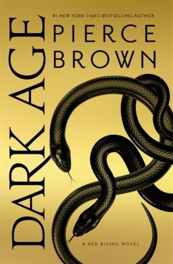 Dark Age av Pierce Brown