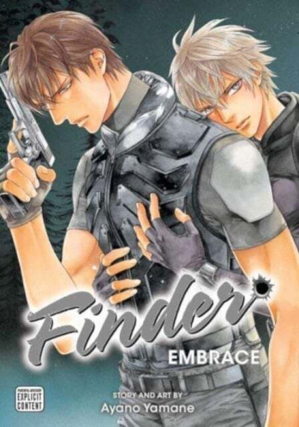 Finder Deluxe Edition: Embrace, Vol. 12 av Ayano Yamane