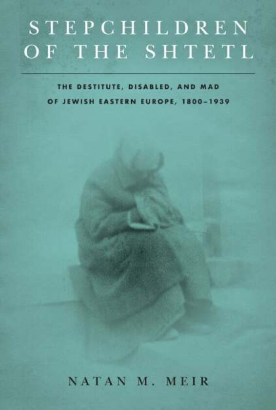 Stepchildren of the Shtetl av Natan M. Meir