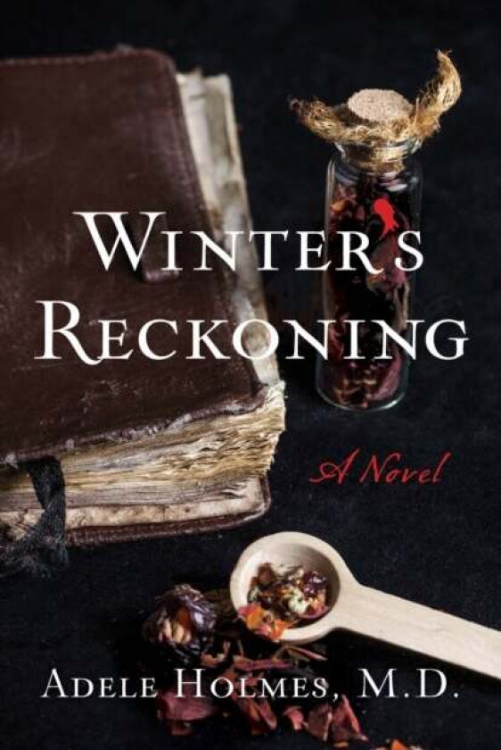 Winter's Reckoning av Adele Holmes