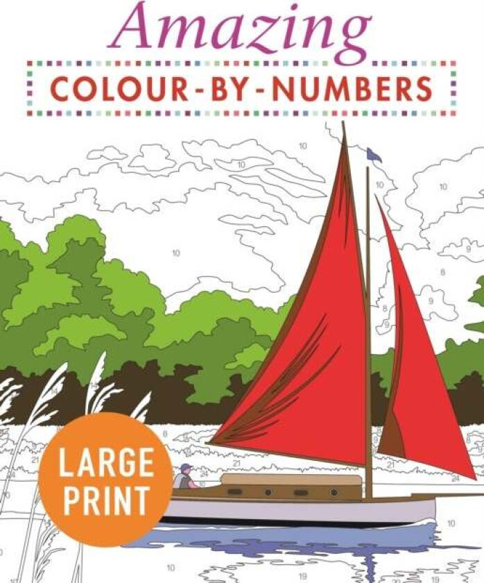 Amazing Colour-by-Numbers Large Print av Arcturus Publishing