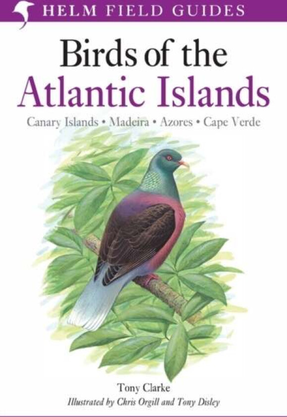 A Field Guide to the Birds of the Atlantic Islands av Mr Tony Clarke