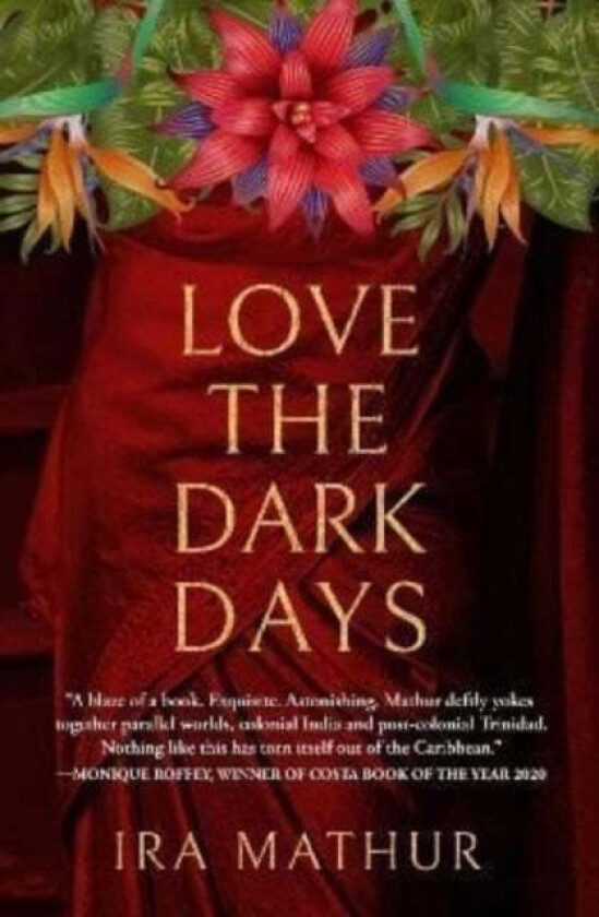 Love the Dark Days av Ira Mathur
