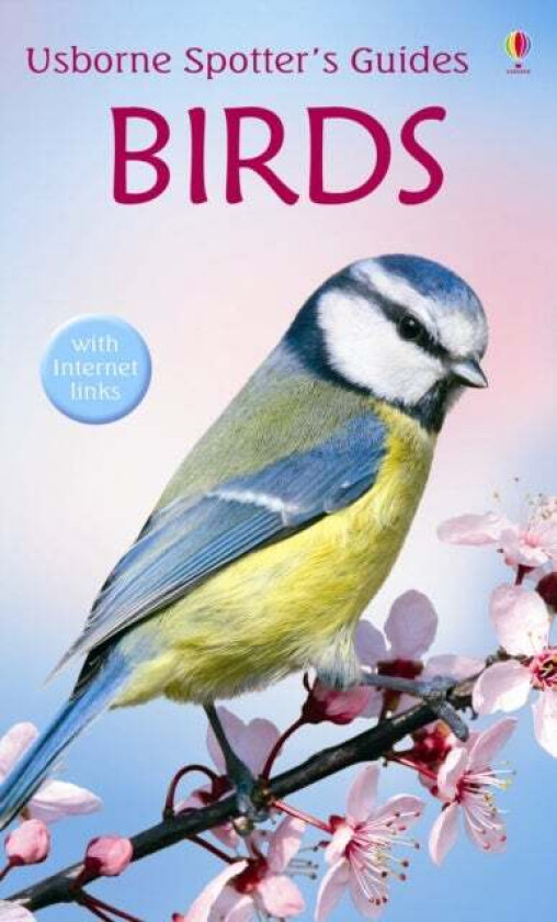 Birds av Peter Holden