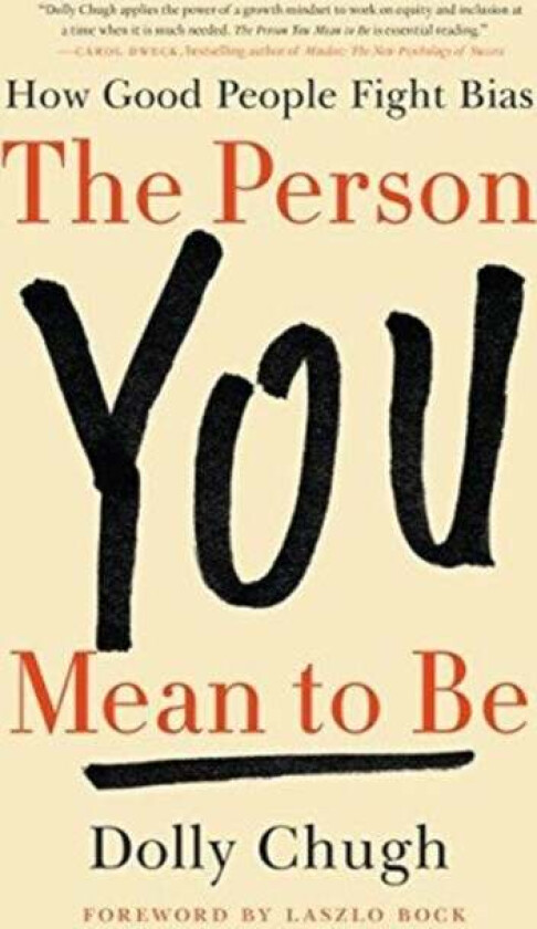 The Person You Mean to Be av Dolly Chugh