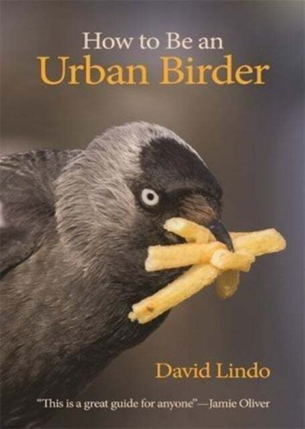 How to Be an Urban Birder av David Lindo