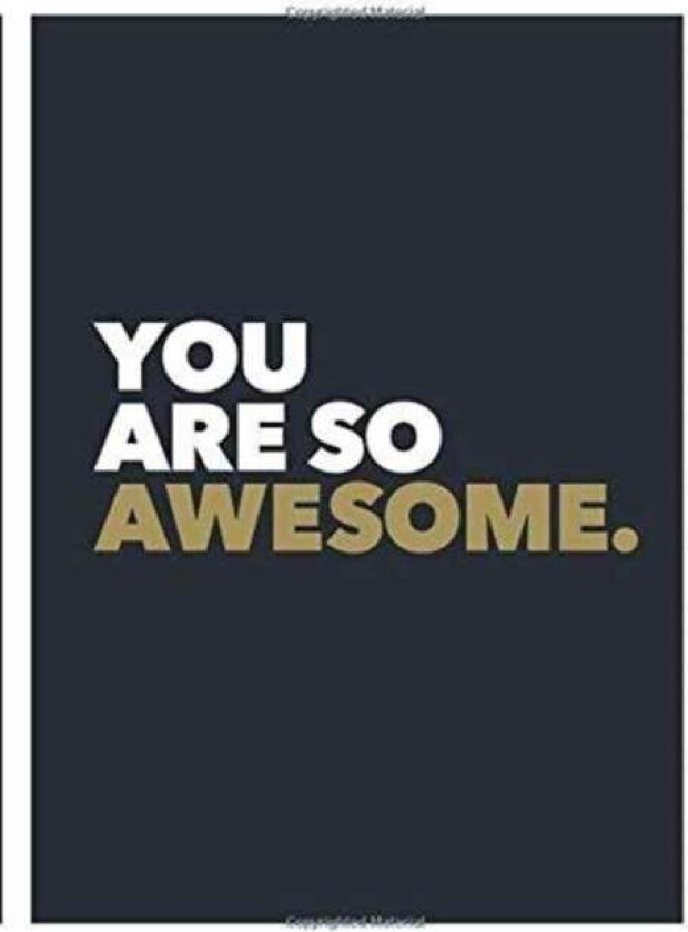You Are So Awesome av Summersdale Publishers