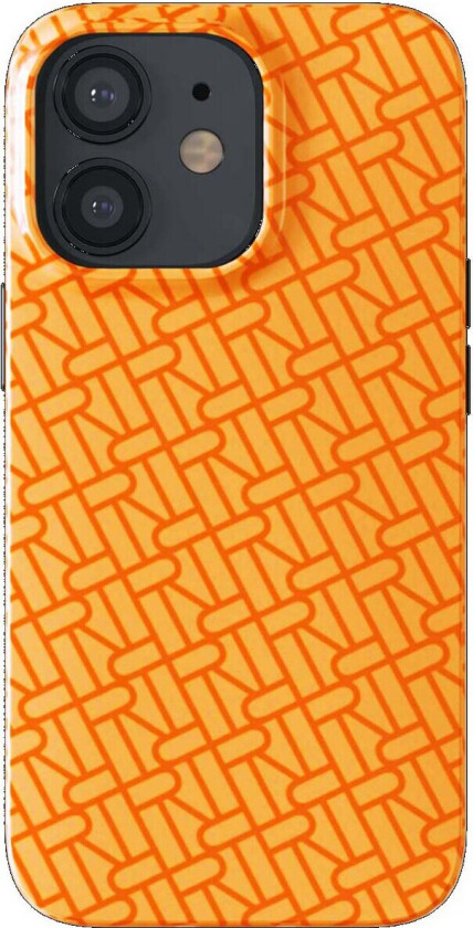 R&F telefondeksel til iPhone 12/12 Pro (tangerine)