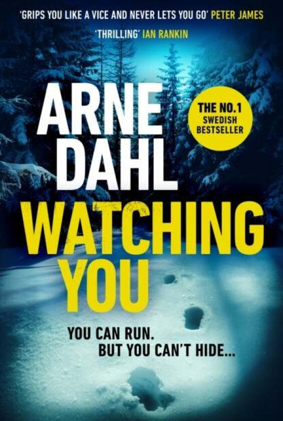 Watching You av Arne Dahl