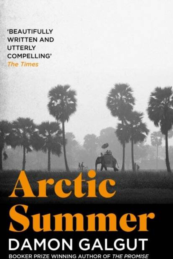 Arctic Summer av Damon Galgut