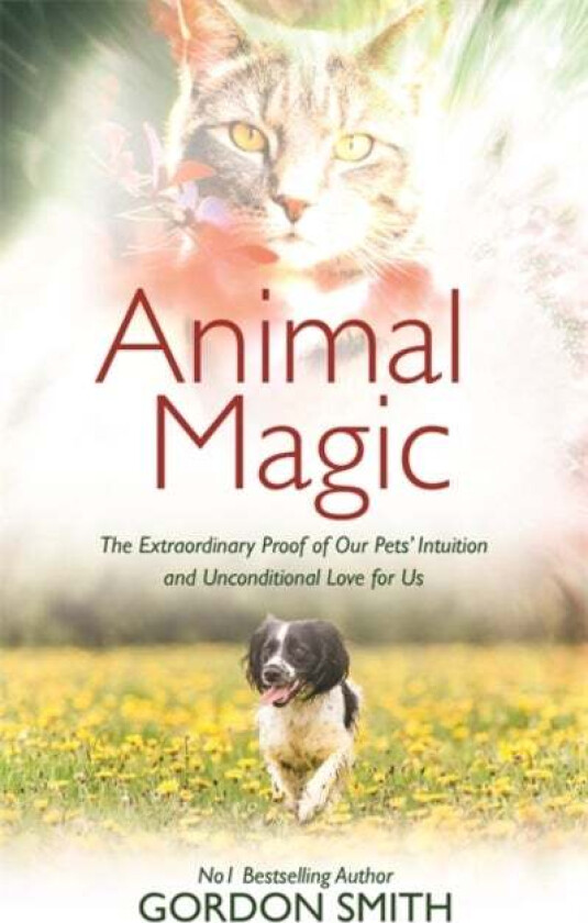 Animal Magic av Gordon Smith