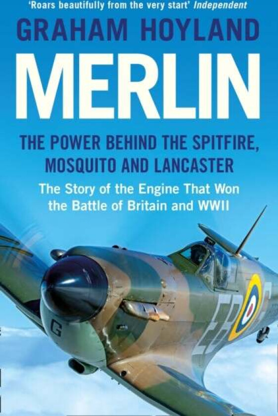 Merlin av Graham Hoyland