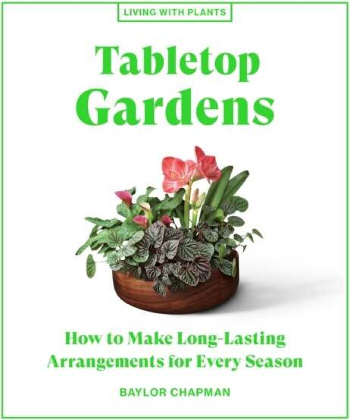 Tabletop Gardens av Baylor Chapman
