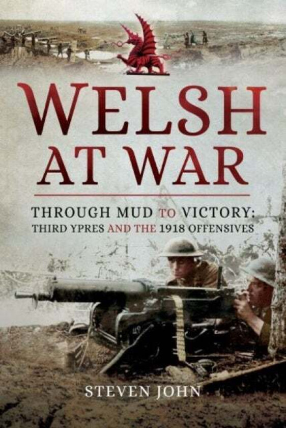 Welsh at War av Steven John
