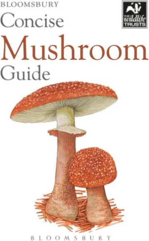 Concise Mushroom Guide av Bloomsbury