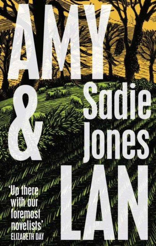 Amy and Lan av Sadie Jones