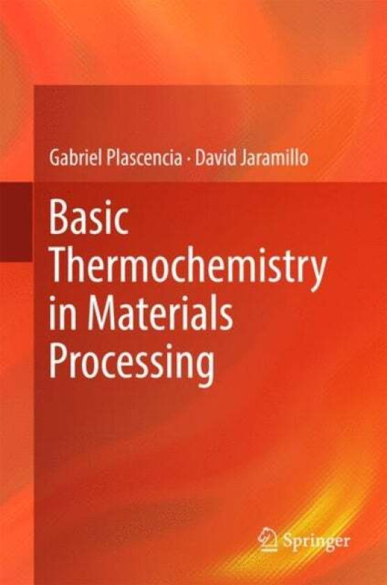 Basic Thermochemistry in Materials Processing av Gabriel Plascencia, David Jaramillo