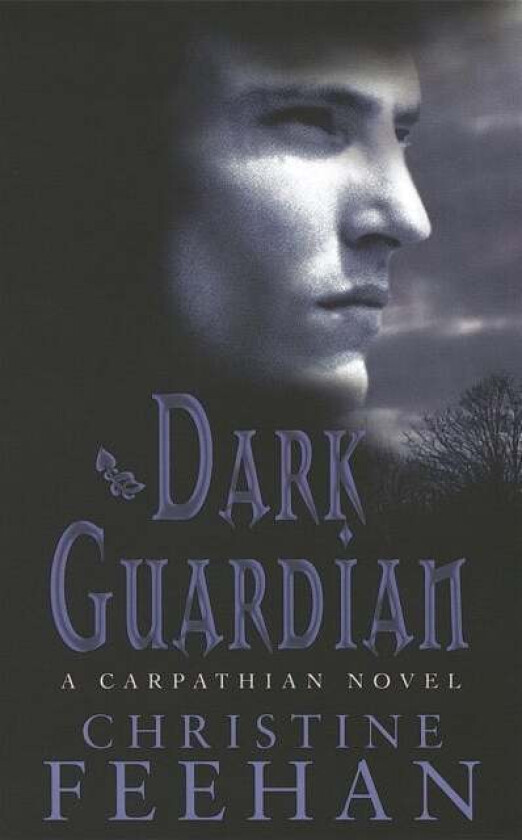 Dark Guardian av Christine Feehan