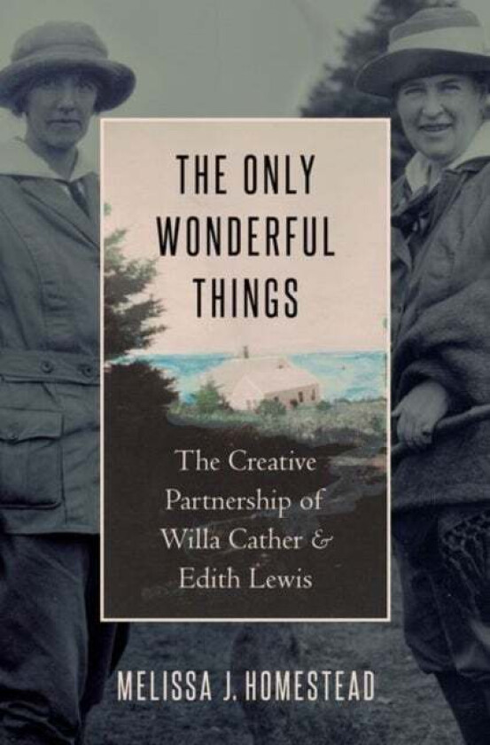 The Only Wonderful Things av Melissa J. (Professor of English Professor of English University of Nebraska-Lincoln) Homestead