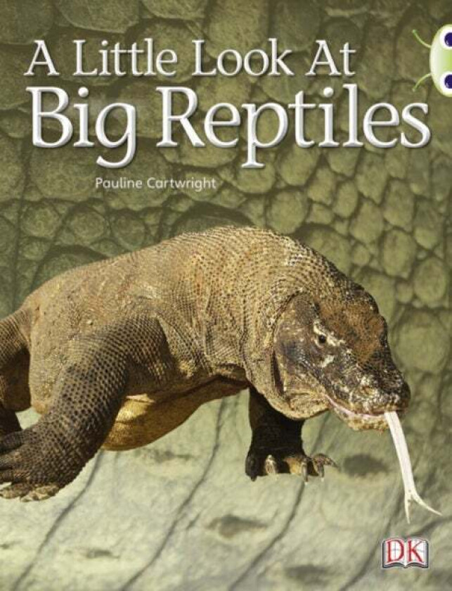 Bug Club Non-fiction Blue (KS1) B/1B A Little Look of Reptiles 6-pack av Pauline Cartwright