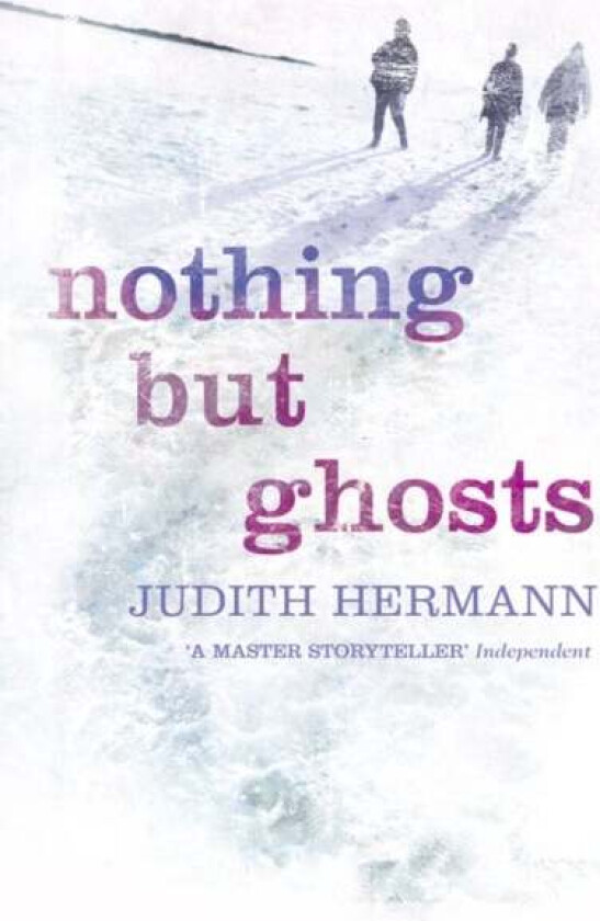 Nothing but Ghosts av Judith Hermann