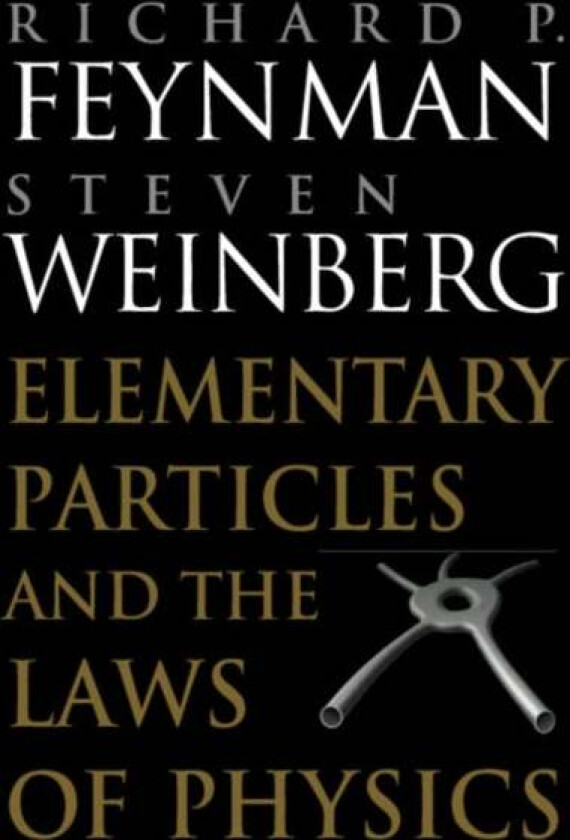 Elementary Particles and the Laws of Physics av Richard P. Feynman, Steven (University of Texas Austin) Weinberg