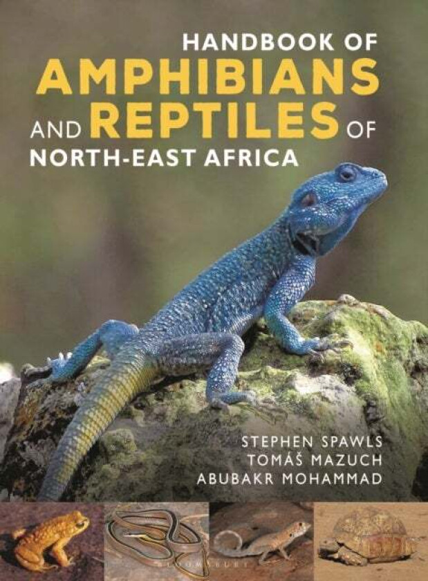 Handbook of Amphibians and Reptiles of Northeast Africa av Stephen Spawls, Abubakr Mohammad, Tomas Mazuch