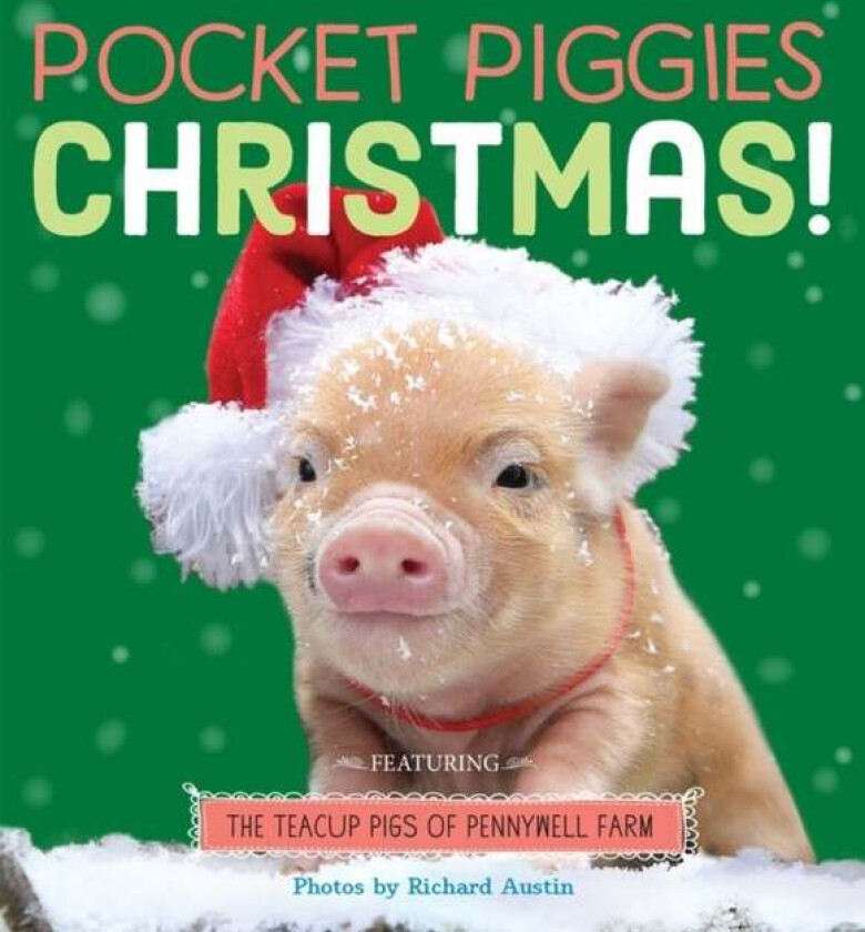 Pocket Piggies: Christmas! av Richard Austin