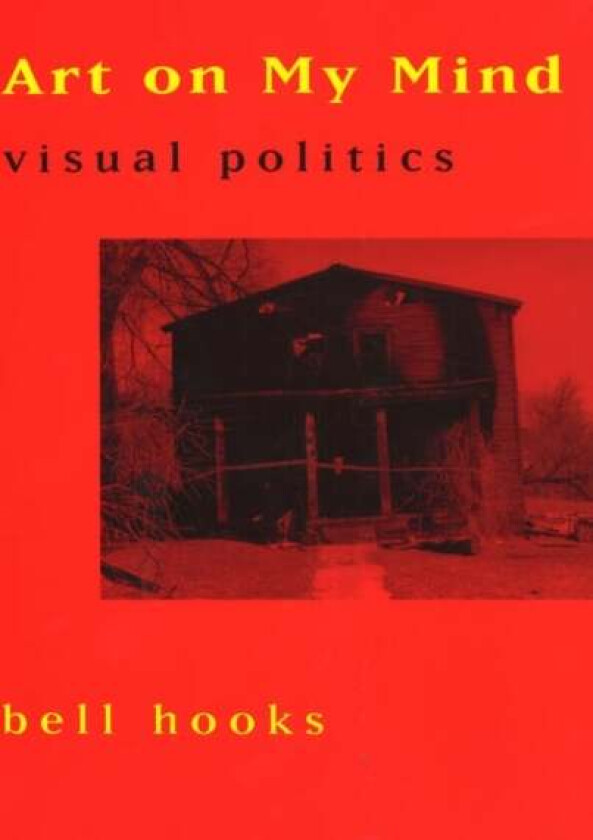 Art on My Mind av Bell Hooks
